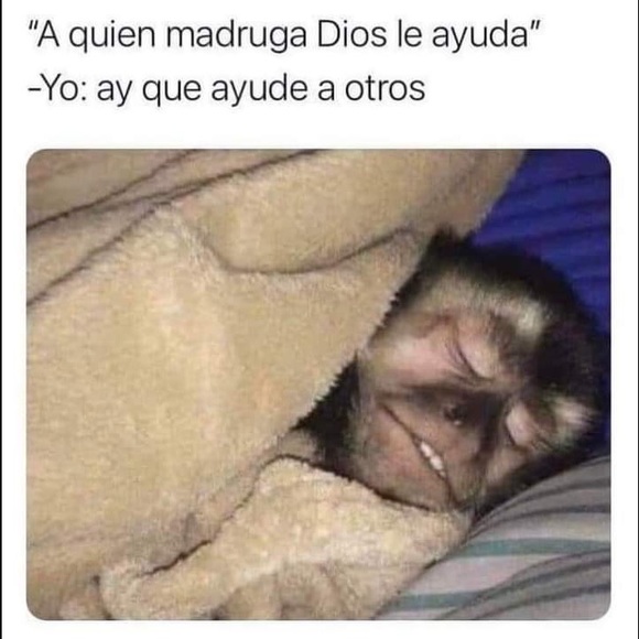 Meet your Posher, Aidelin - Picture 1 of 1